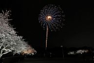 260405_190747
