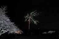 260405_190754