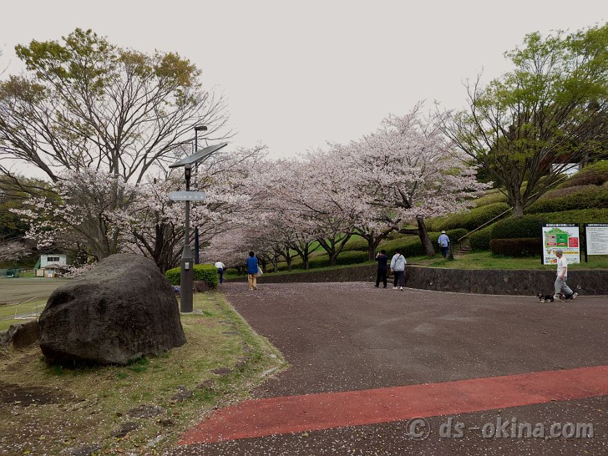 260405_135613.jpg