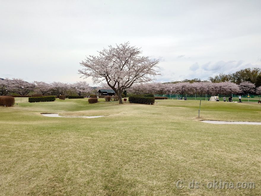 260405_135845.jpg