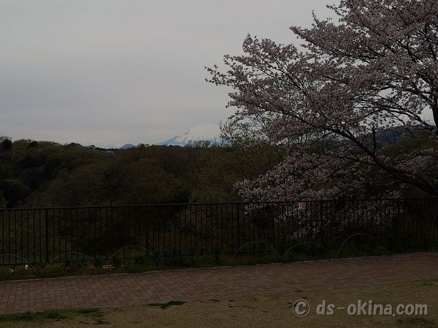 260405_141415.jpg