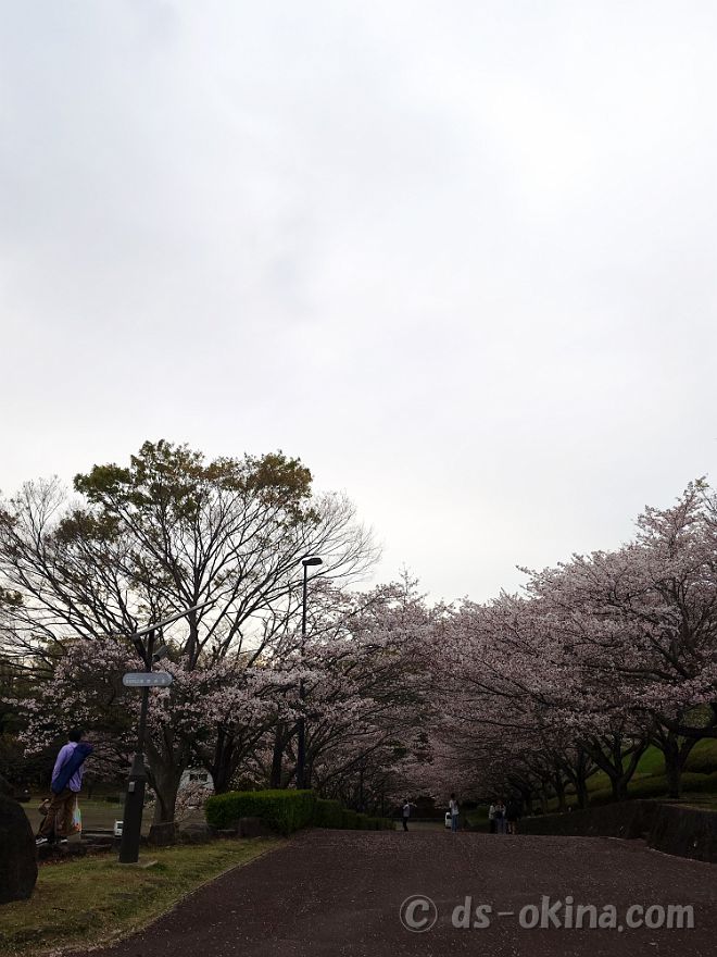 260405_173626.jpg