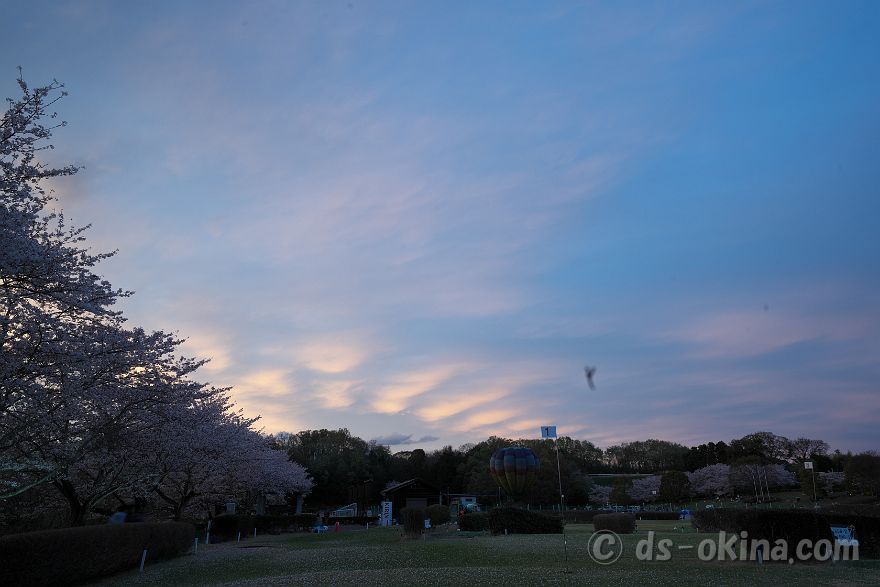 260405_180551.jpg