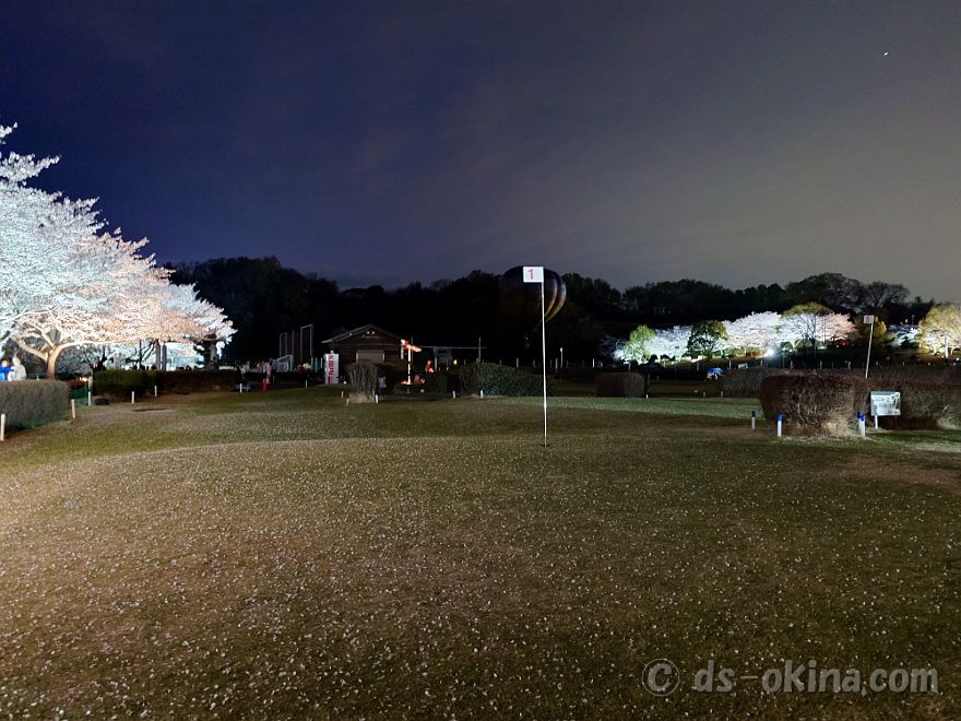 260405_184841.jpg