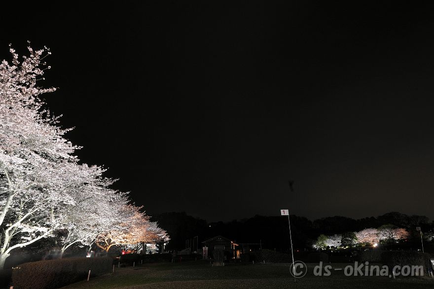 260405_192549.jpg