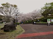 260405_135613