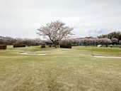 260405_135845