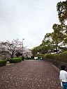 260405_173554