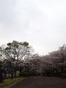 260405_173626