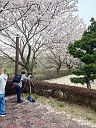 260405_173933