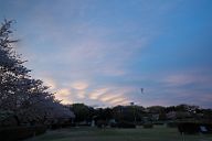 260405_180551