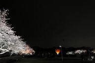 260405_185948