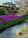 260412_161241