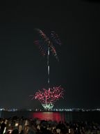260602_194552