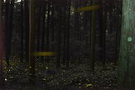 260613_2418-2628a6635