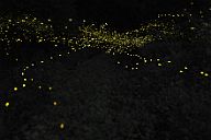 260719_2428-2515a7c35