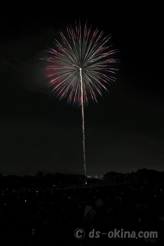 260722_195013.jpg