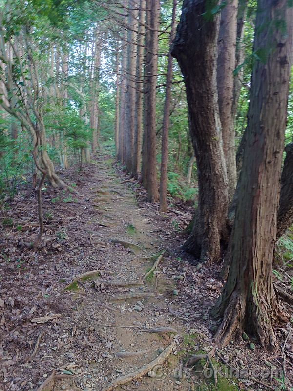 260722_182116.jpg