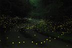 260722_2339-2416a7s85