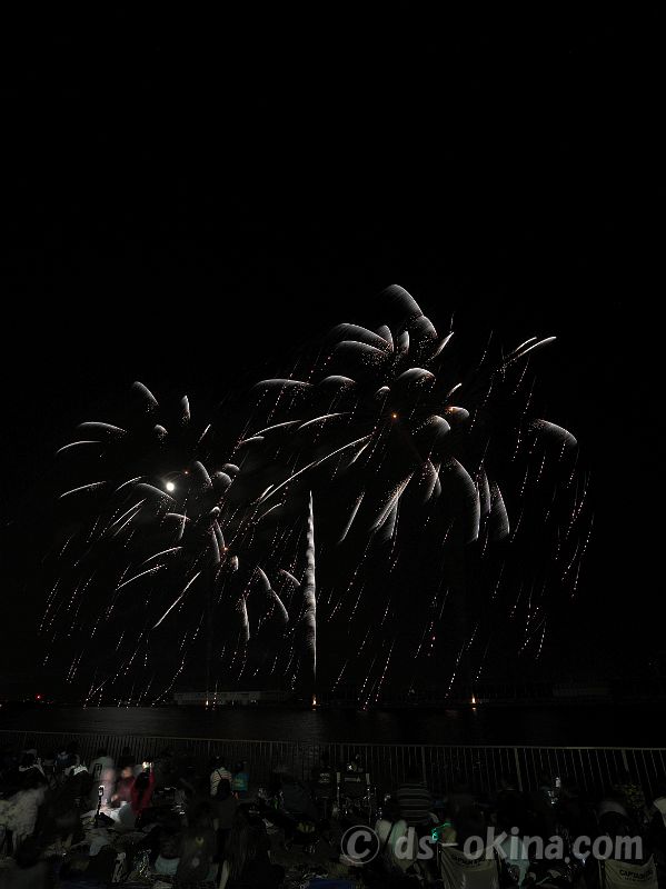 260726_201344.jpg