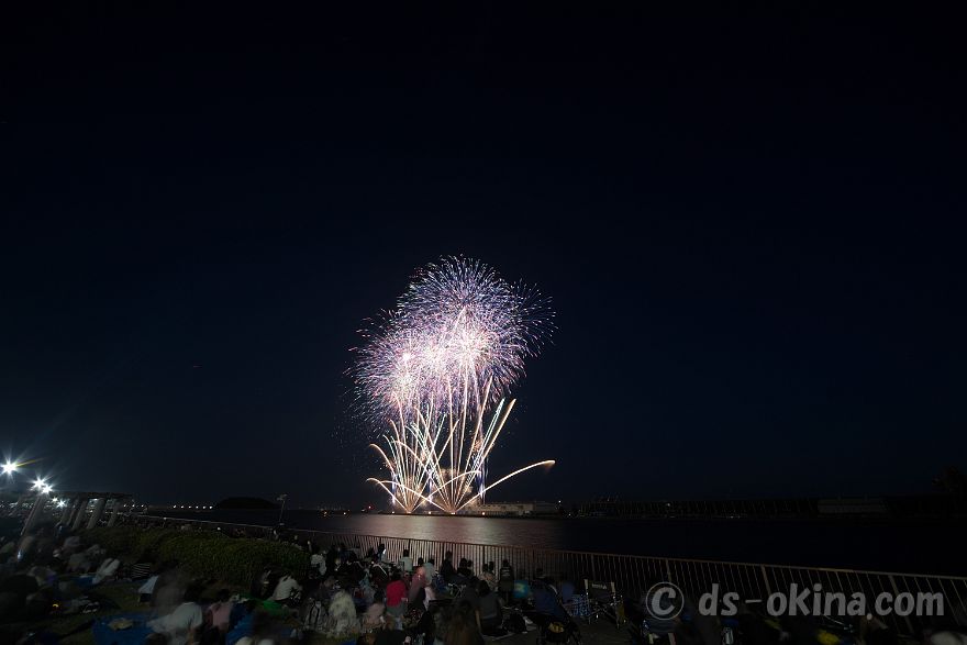 260726_194314.jpg