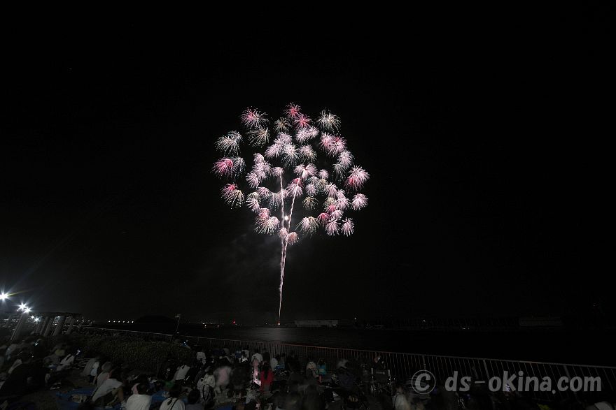 260726_201534.jpg