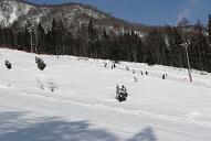 080126_083729_0
