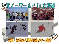 2011HKDppt