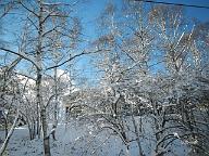 131222_085255_0