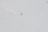 140126_122430_0