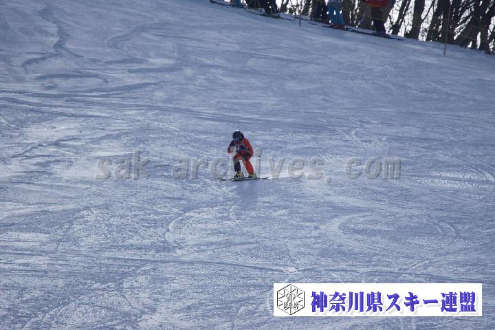 20170128_104538_0.jpg