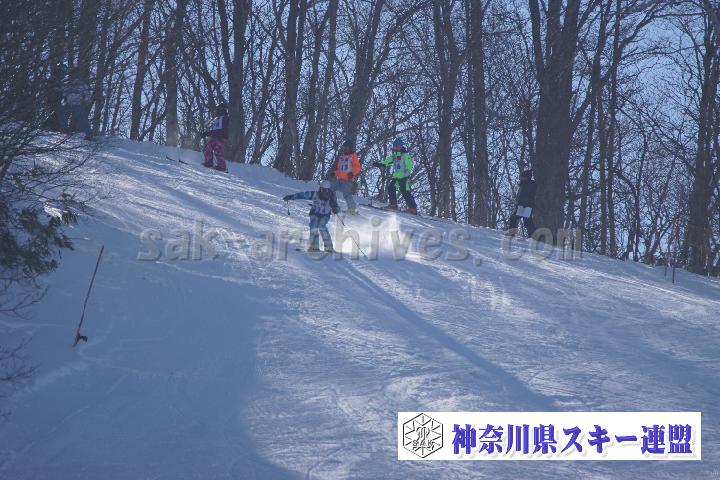 20170128_101049_0.jpg