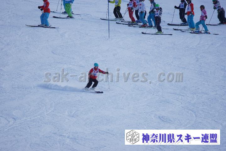 20170128_145256_0.jpg