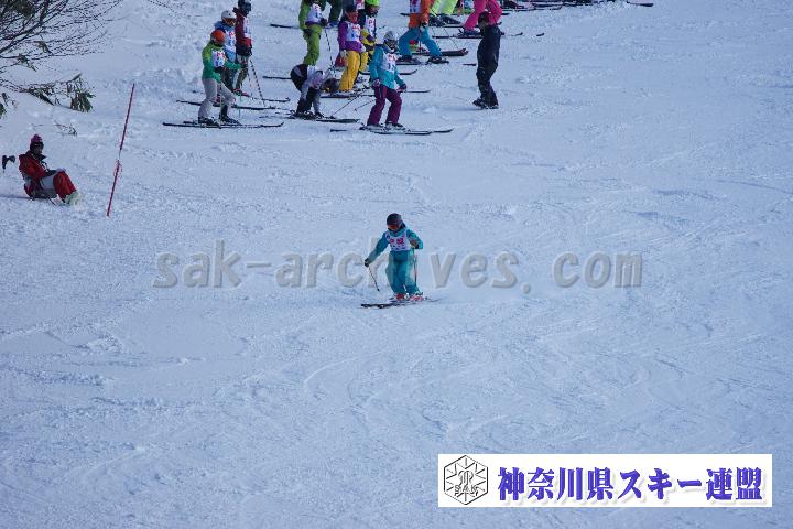 20170128_151044_0.jpg