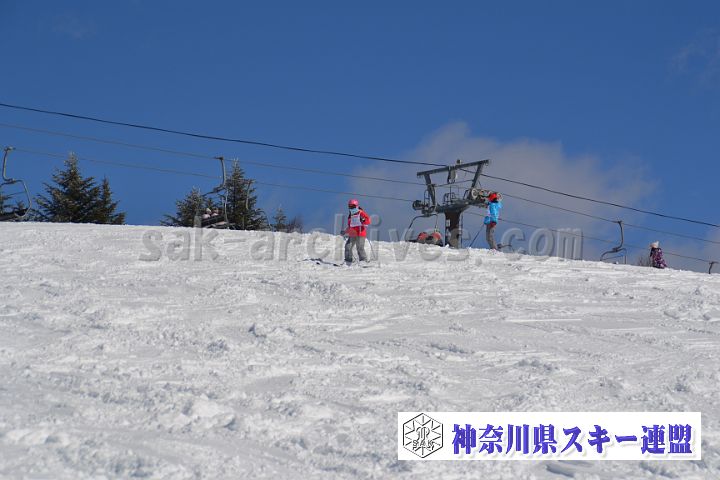 170219_113309_s.jpg