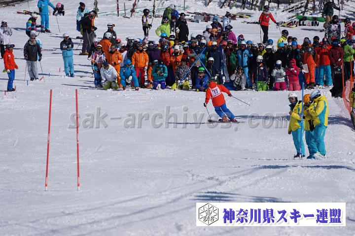 170304_133537_0.jpg