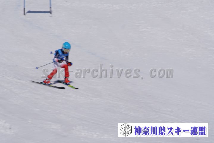 180304_113145_0.jpg