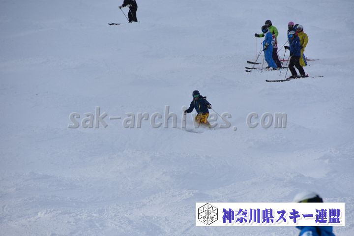20181216_113839_1.jpg
