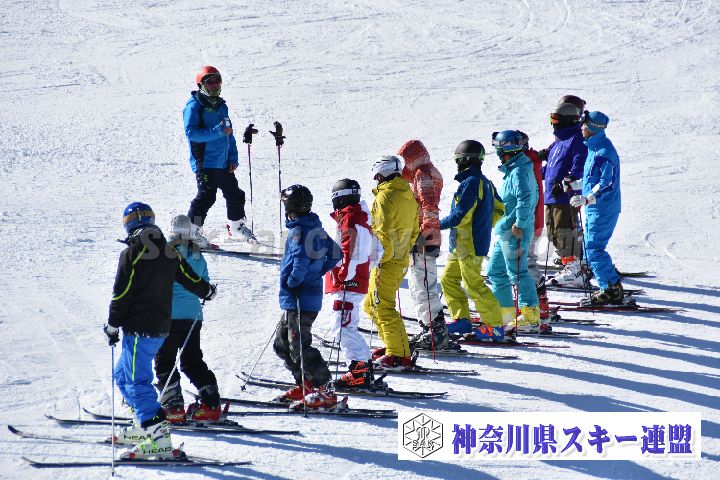 20190119_115049_0.jpg