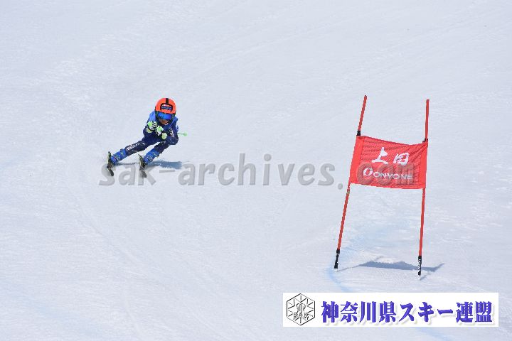 190302_114510_0.jpg
