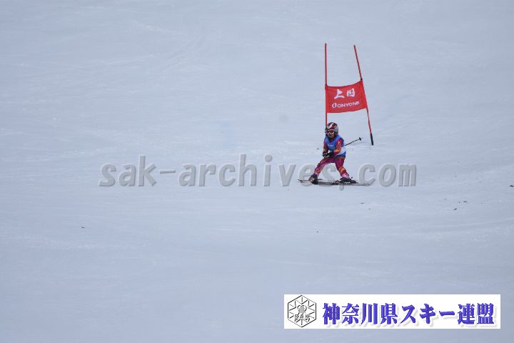 190303_112616_1.jpg