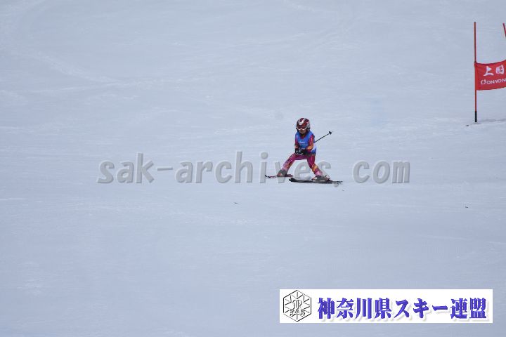 190303_112616_3.jpg
