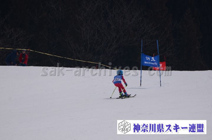 190303_112904_4.jpg