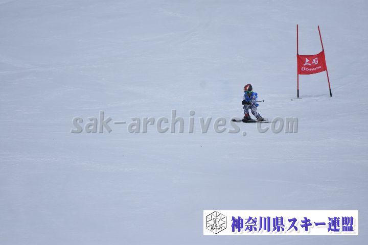 190303_113332_1.jpg