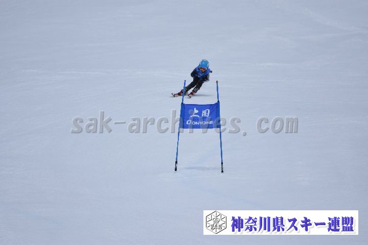 190303_113414_1.jpg
