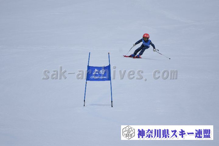 190303_113647_1.jpg