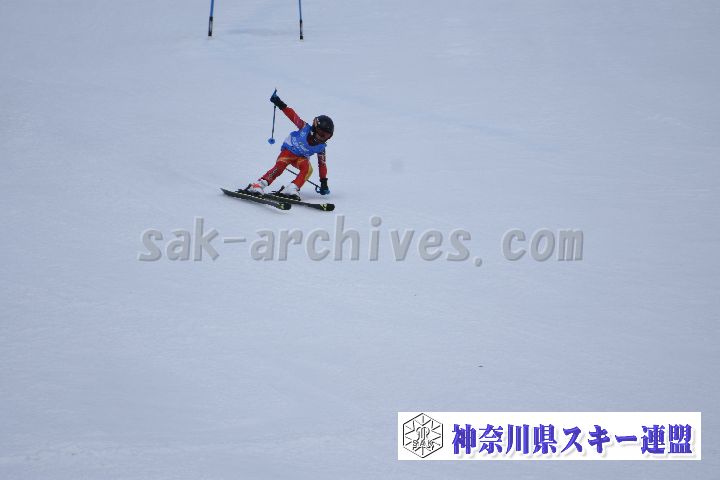 190303_113730_4.jpg