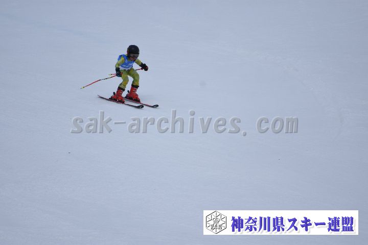190303_114130_0.jpg