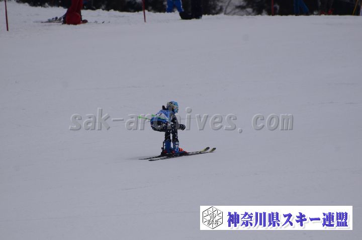 190303_115219_0.jpg