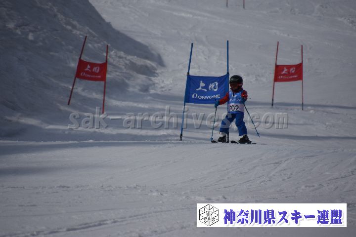 190303_142119_0.jpg